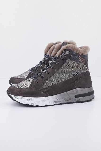 CETTI C en color MARRON (1)