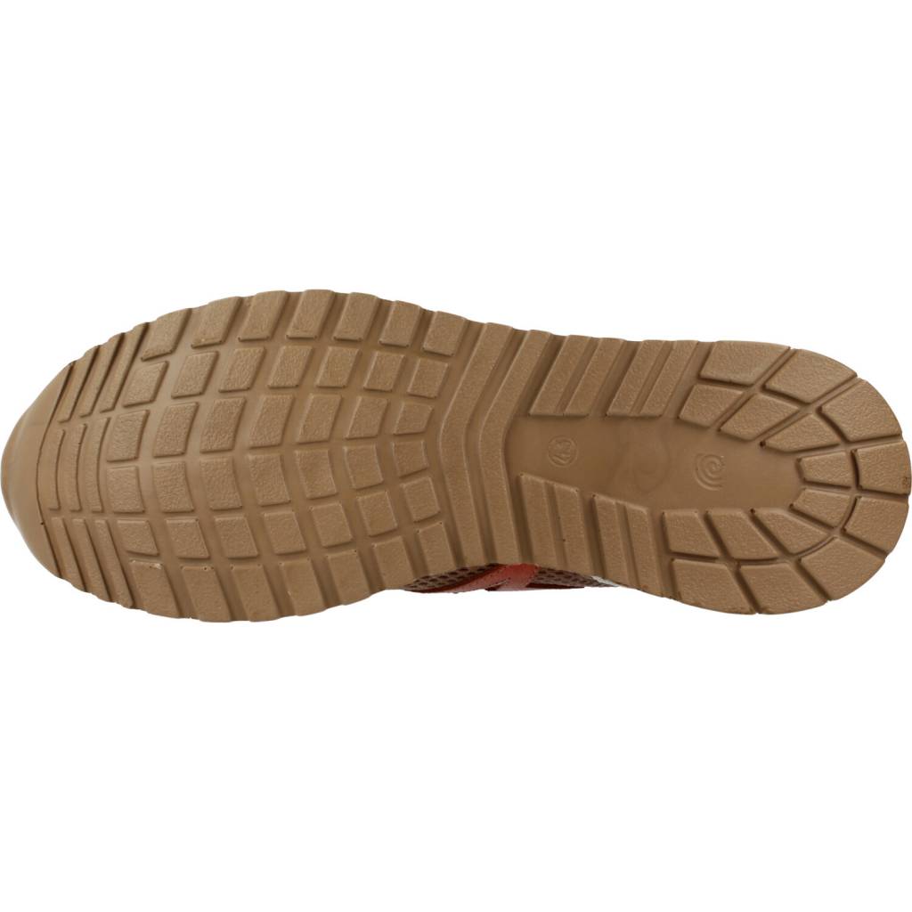 CETTI CANTE en color MARRON (6)