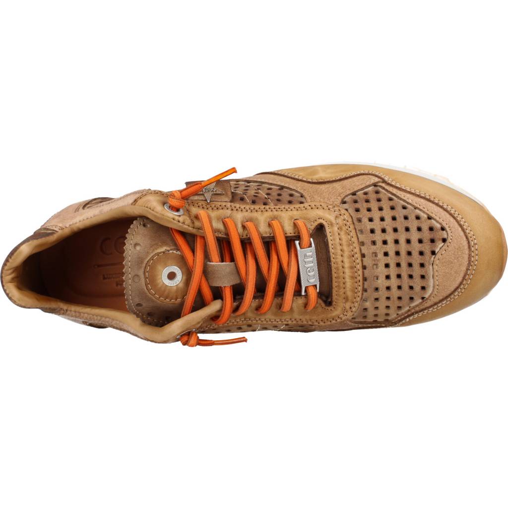 CETTI CUSED en color MARRON (7)