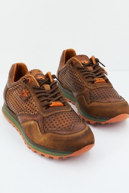 CETTI C en color MARRON (1)