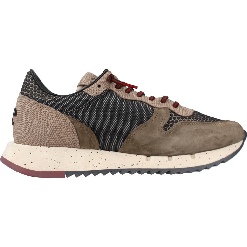 CETTI C en color MARRON (4)