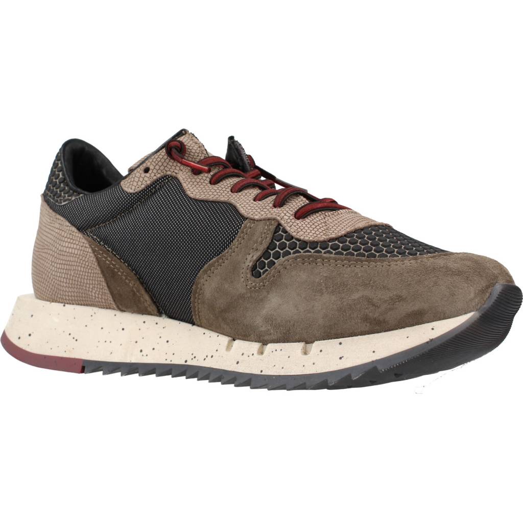 CETTI C en color MARRON (5)