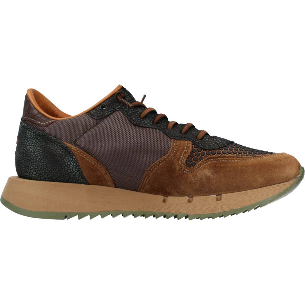 CETTI C en color MARRON (5)