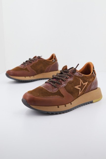 CETTI CSWE en color MARRON (1)