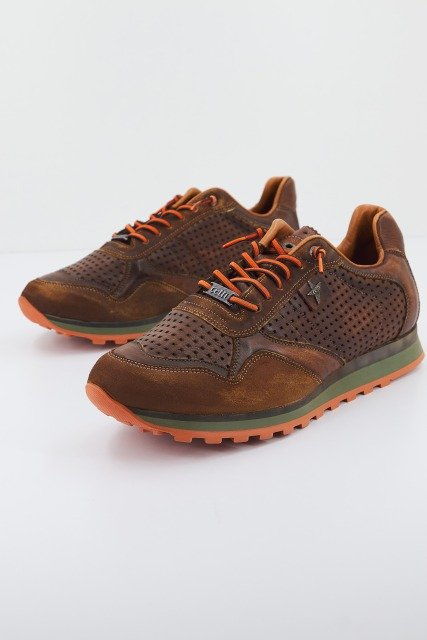 CETTI C en color MARRON (1)