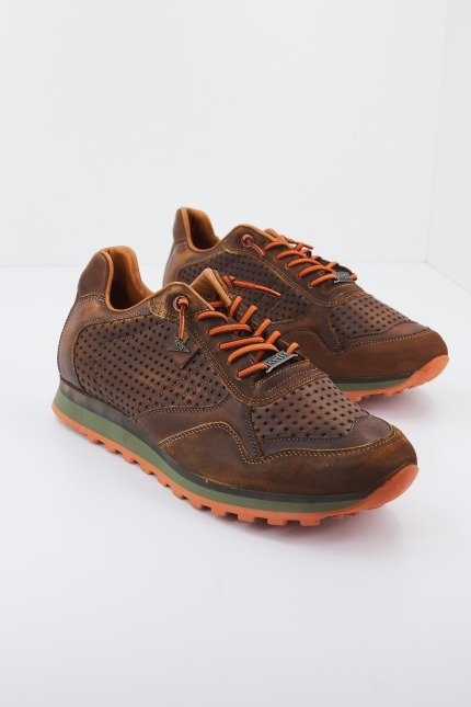 CETTI C en color MARRON (2)