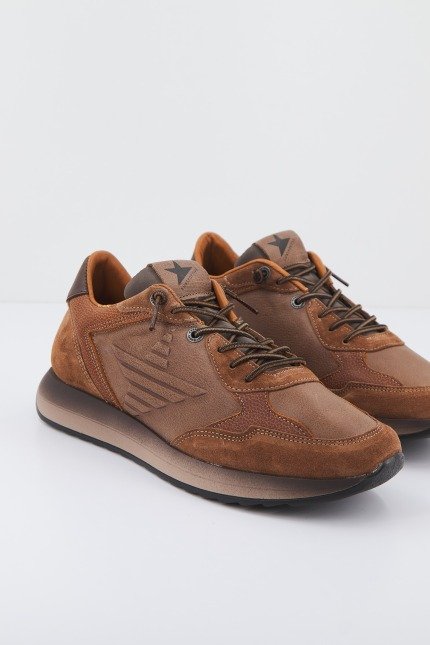 CETTI C en color MARRON (1)