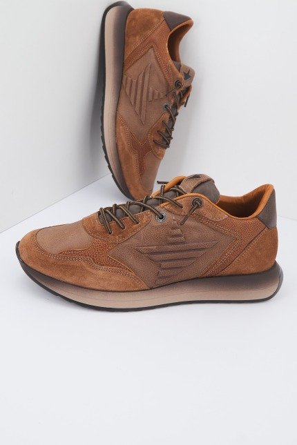 CETTI C en color MARRON (2)