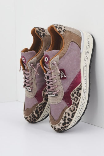 CETTI XL BAB en color ANIMAL PRINT (1)