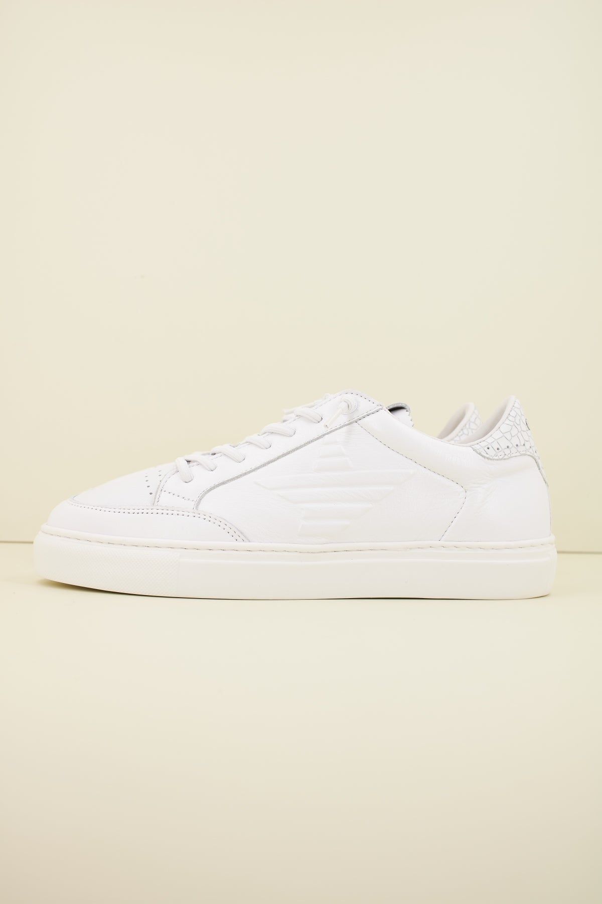 CETTI CNAT en color BLANCO (1)