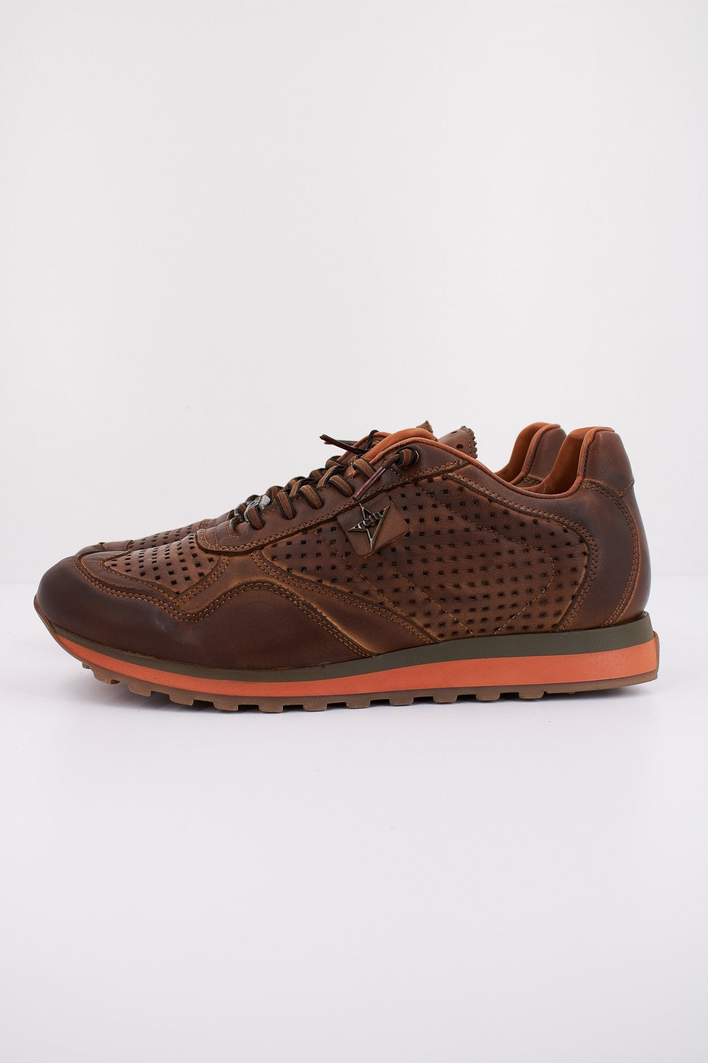 CETTI C en color MARRON (1)