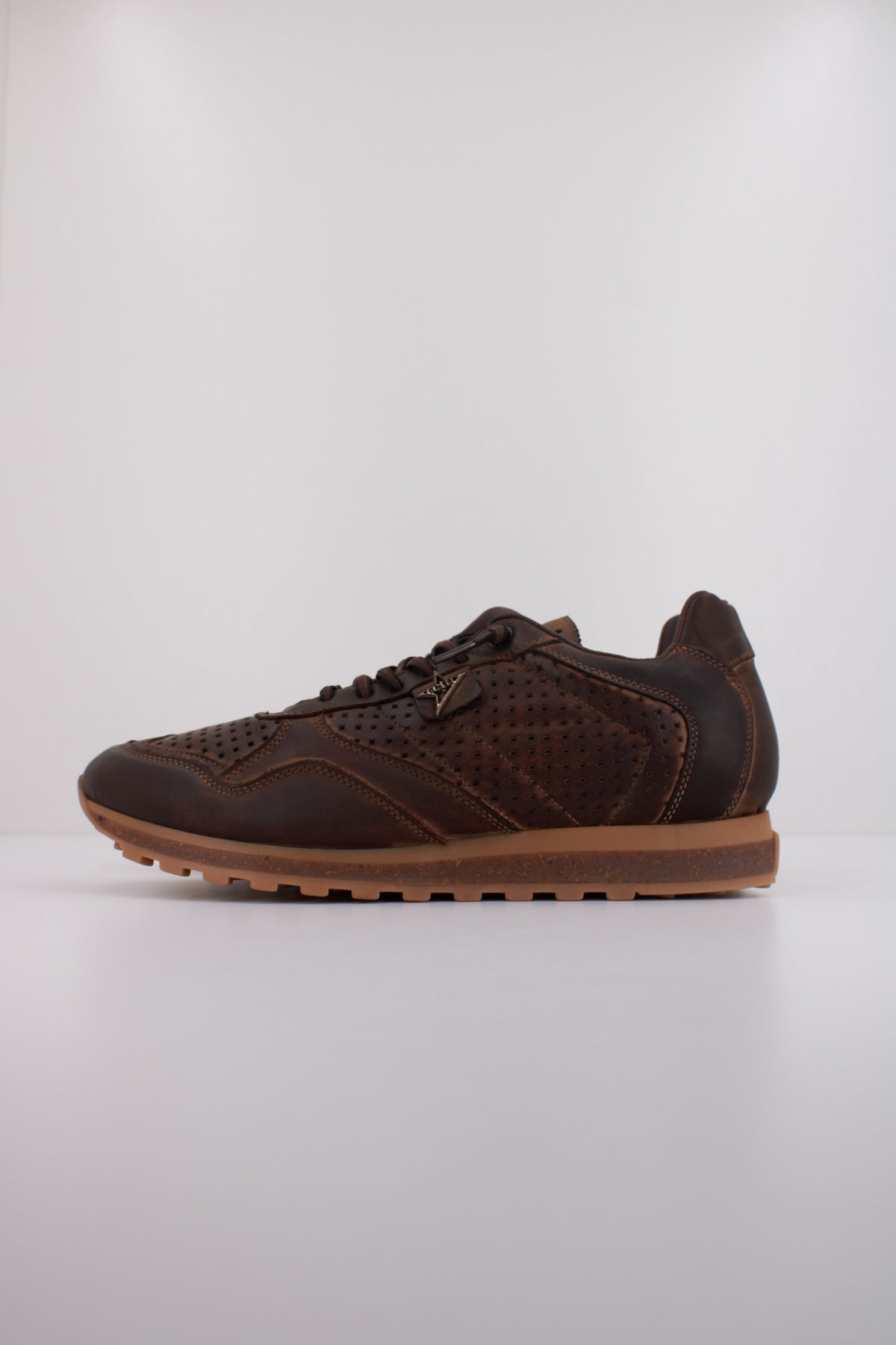CETTI C INV en color MARRON (1)