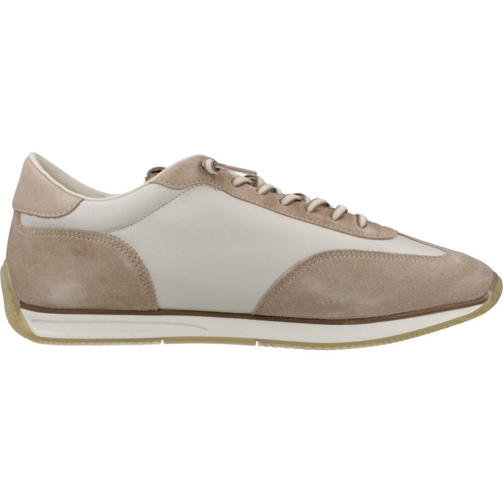 CETTI C V en color MARRON (4)