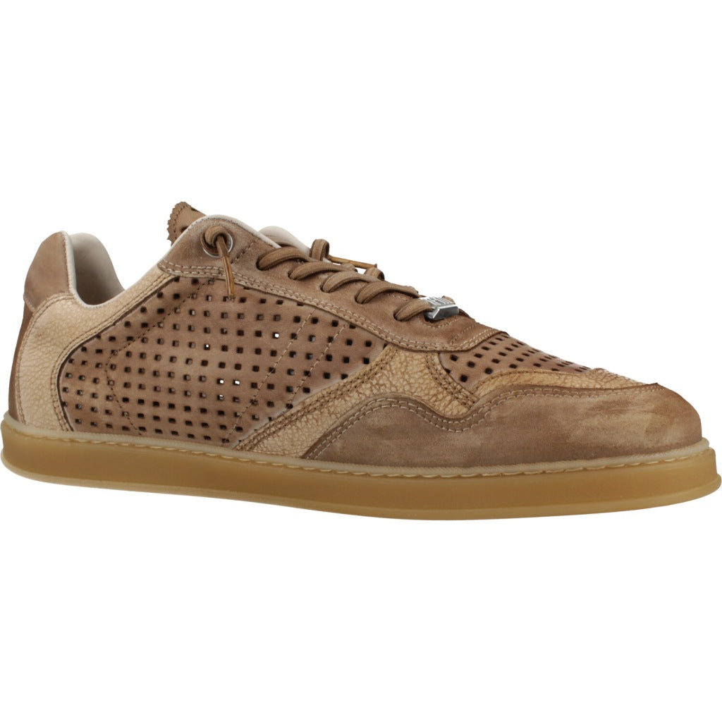 CETTI C en color MARRON (5)