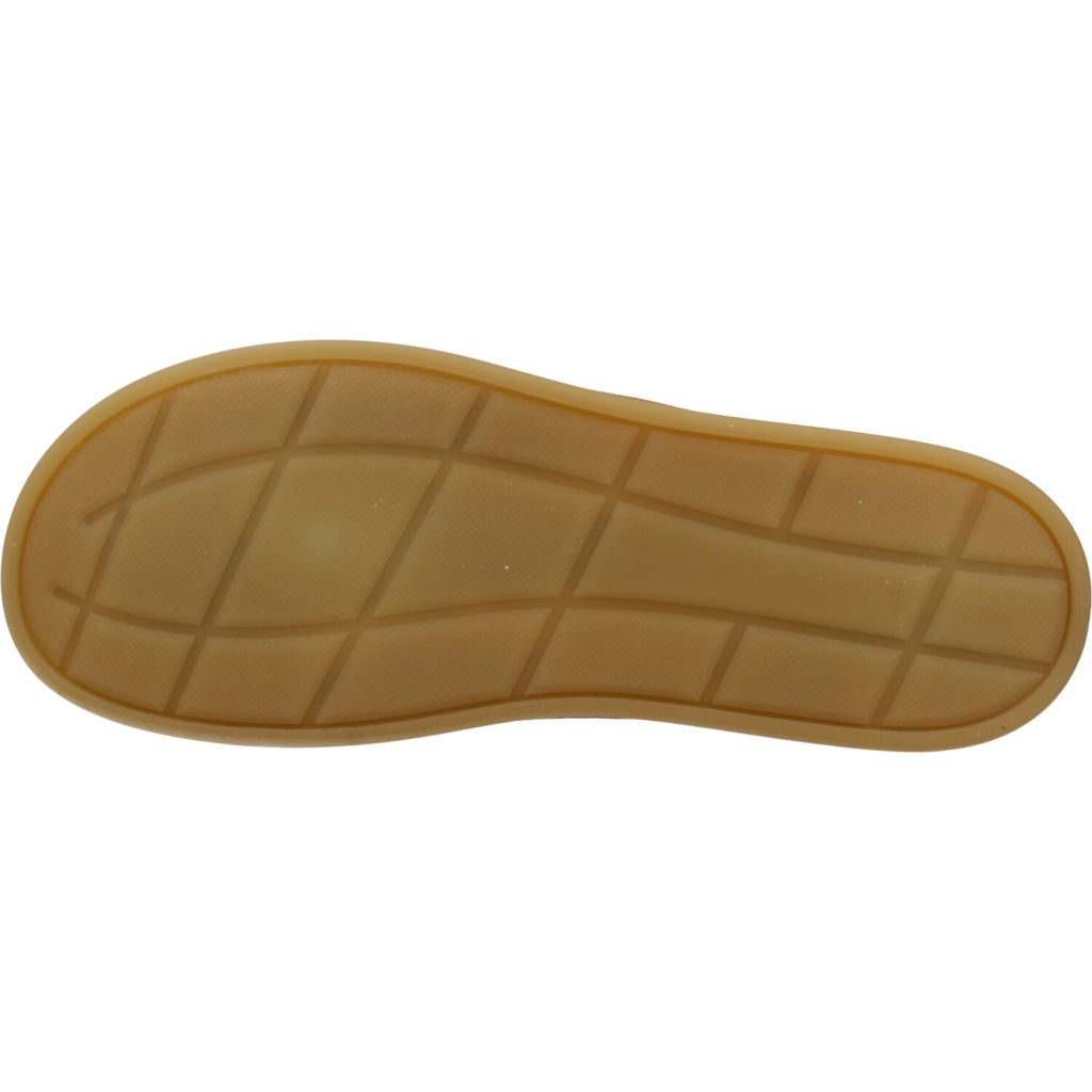 CETTI C en color MARRON (6)