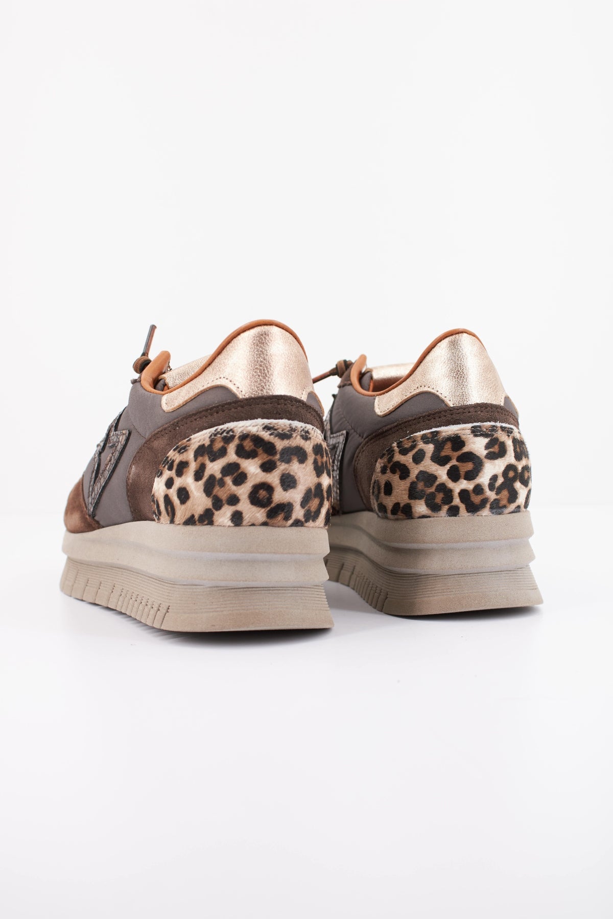 CETTI C XL INV en color MARRON (4)