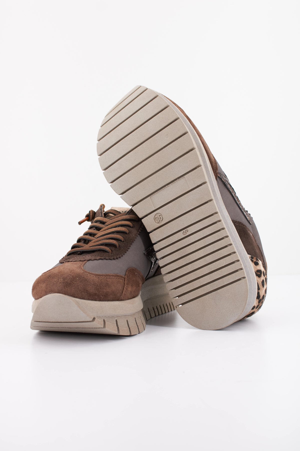 CETTI C XL INV en color MARRON (5)