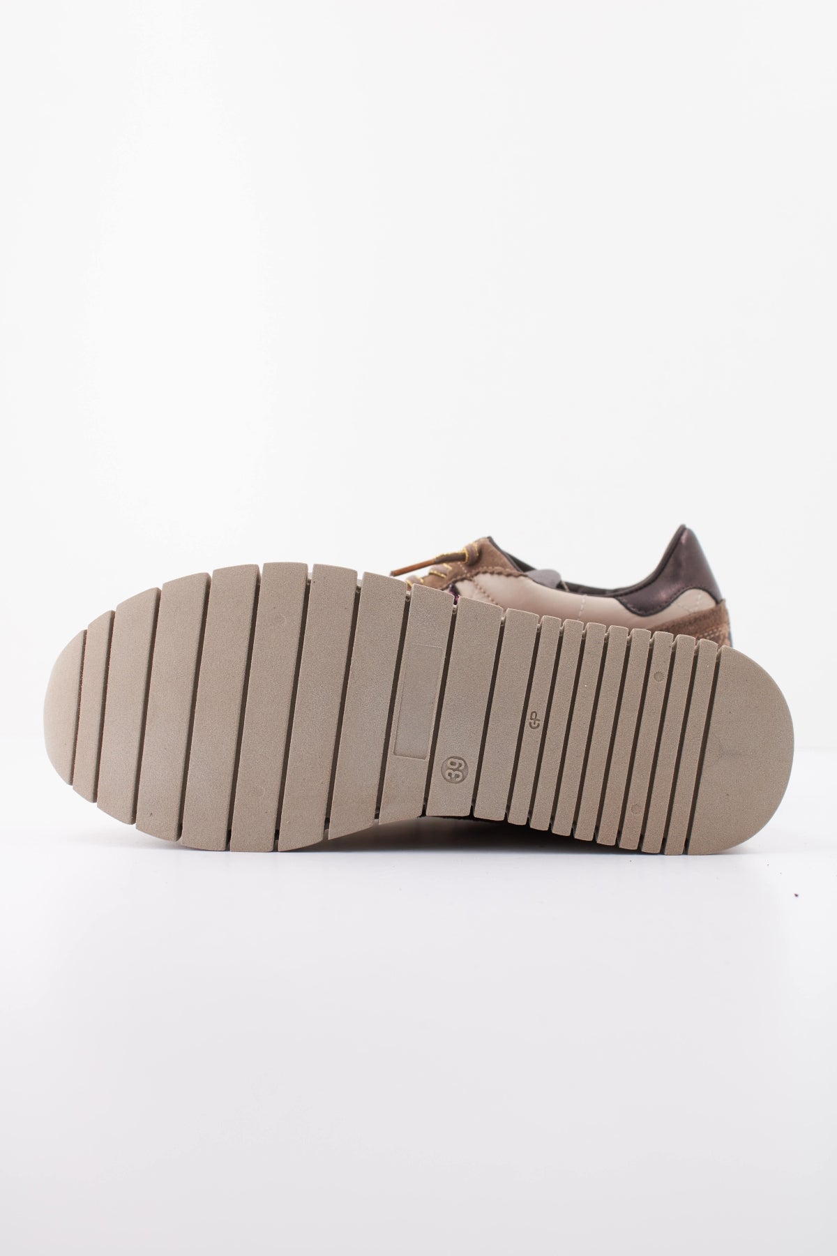 CETTI CSRA XL IN en color MULTICOLOR (5)