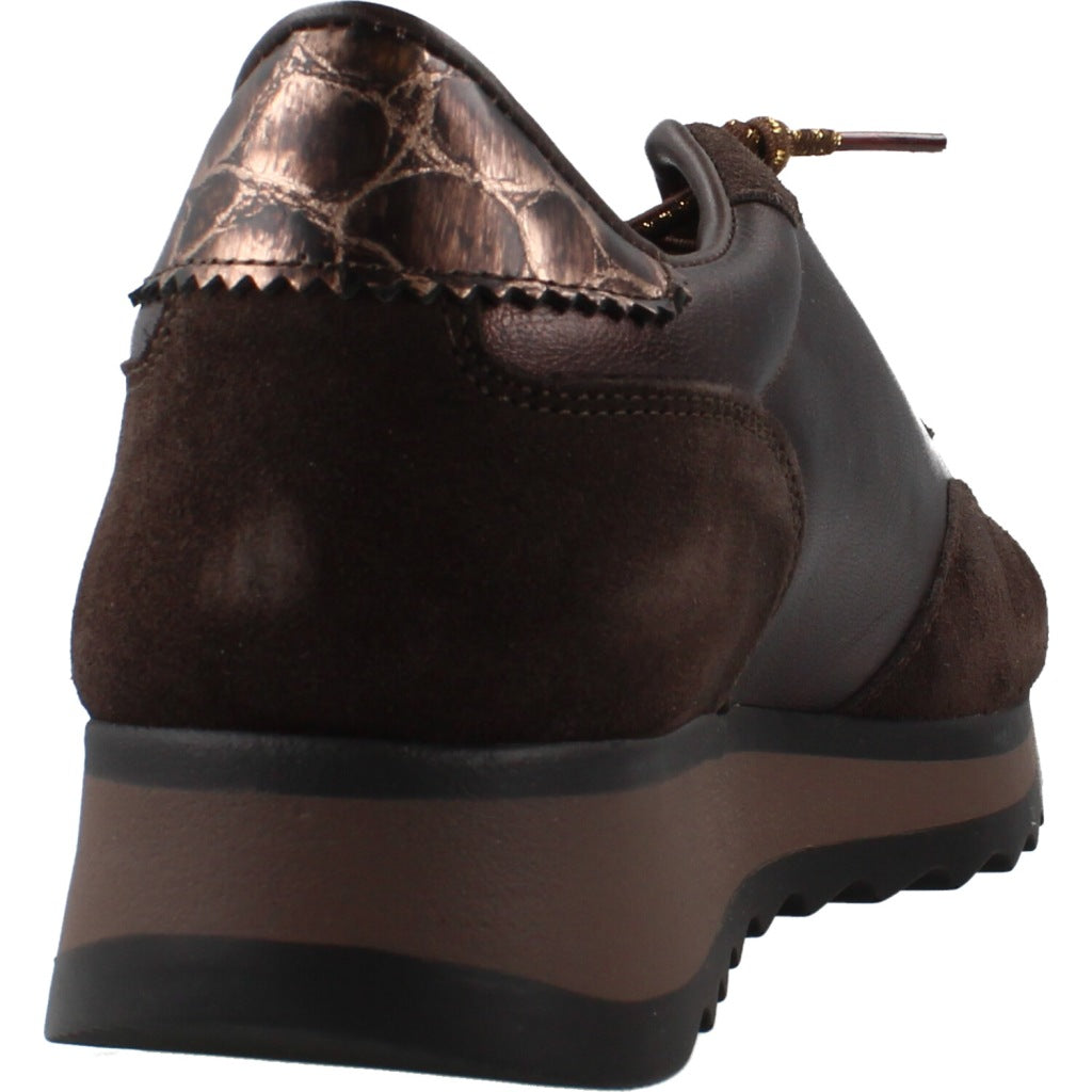 CETTI CSRA INV DEPORTIVO METAL ANTE en color MARRON (3)