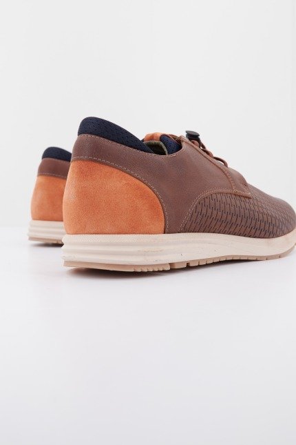 CETTI C V en color MARRON (3)
