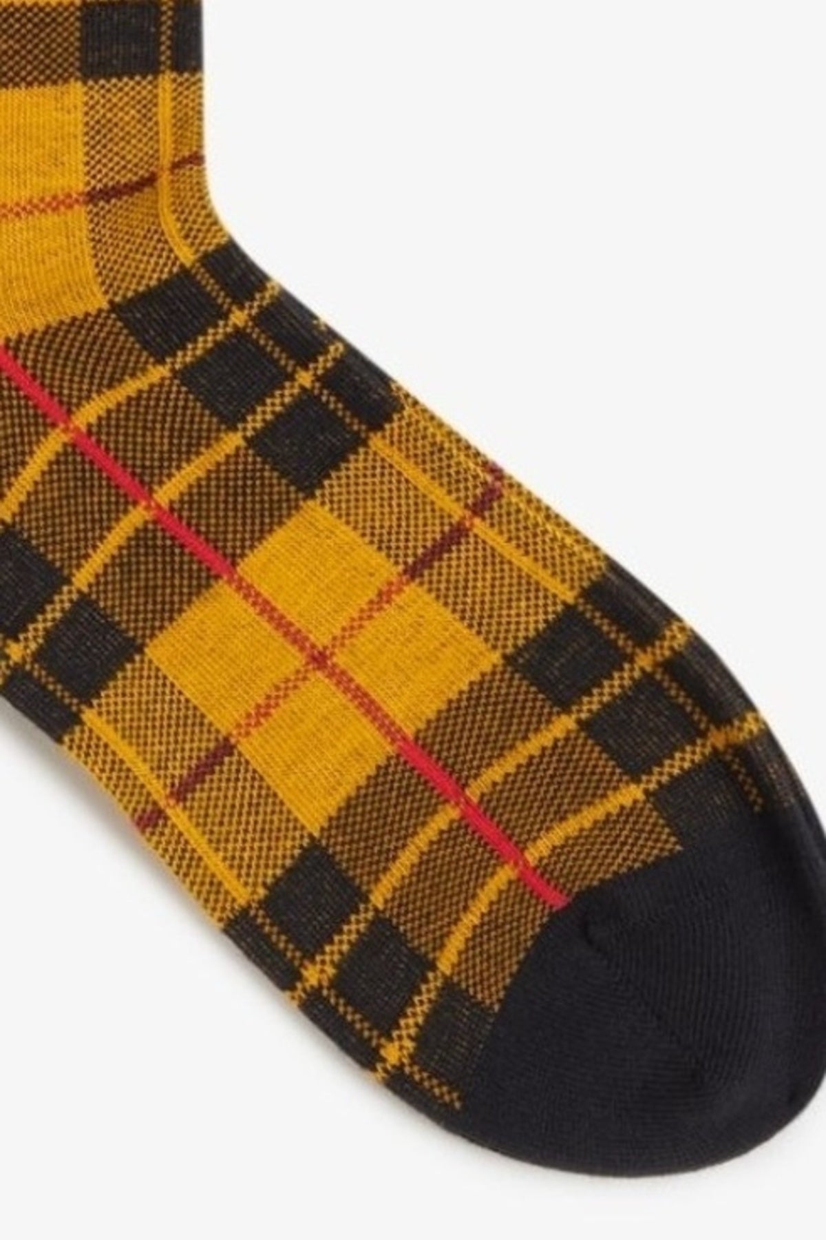 FRED PERRY TARTAN SOCK en color (3)