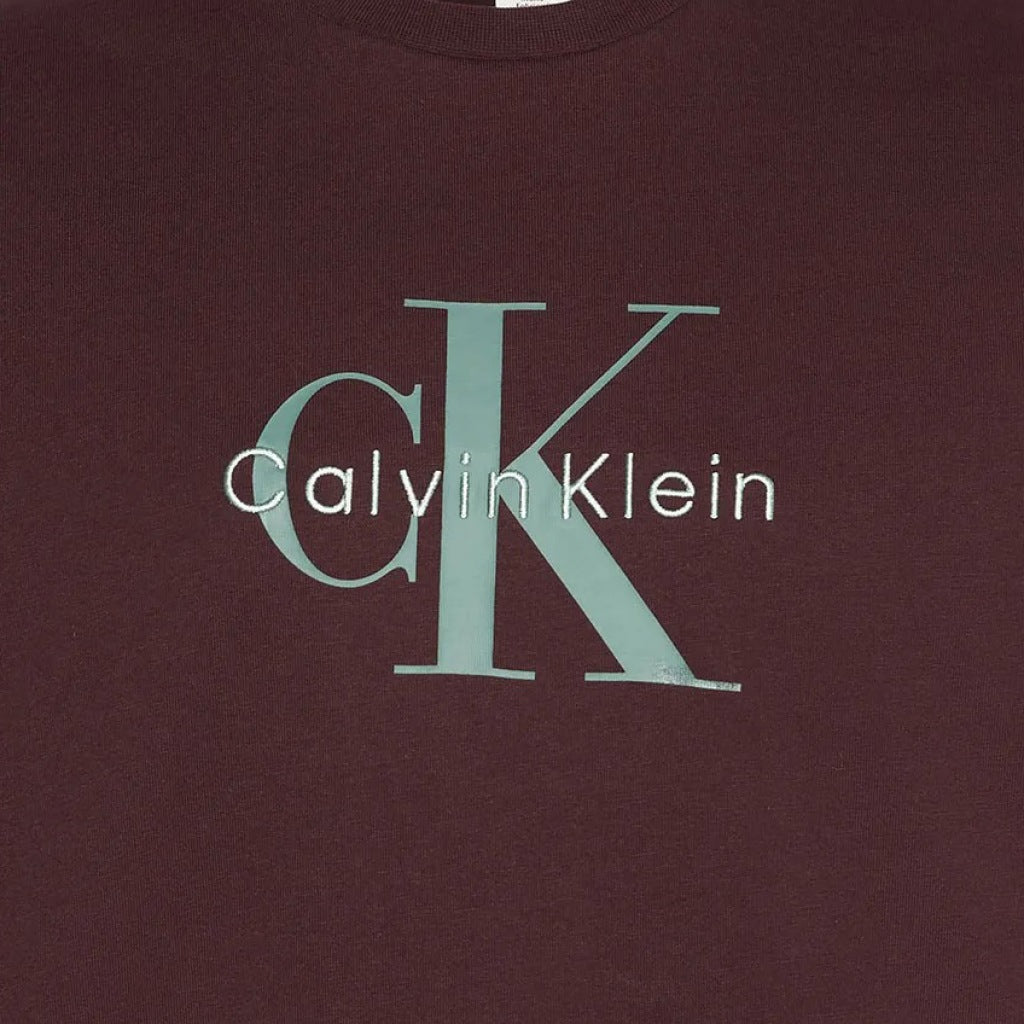 CALVIN KLEIN HERO MONOLOGO TEE S en color MARRON (6)