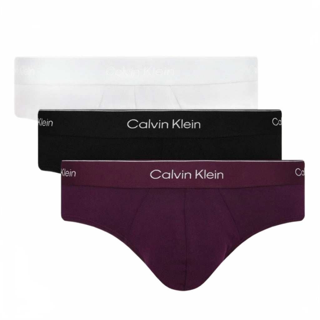 CALVIN KLEIN LVNB HIP BRIEF PK en color MULTICOLOR (4)