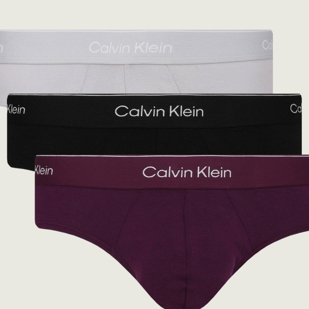 CALVIN KLEIN LVNB HIP BRIEF PK en color MULTICOLOR (6)