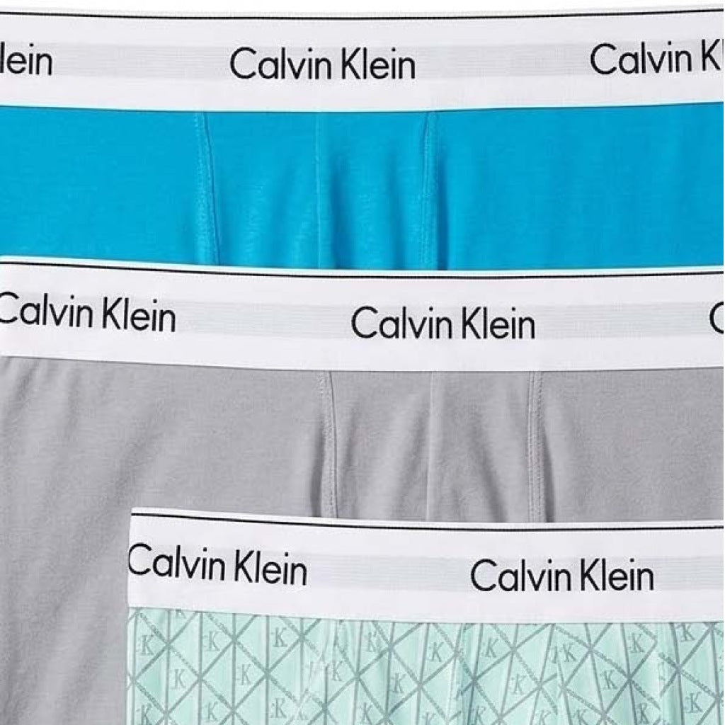 CALVIN KLEIN LVNB en color MULTICOLOR (6)