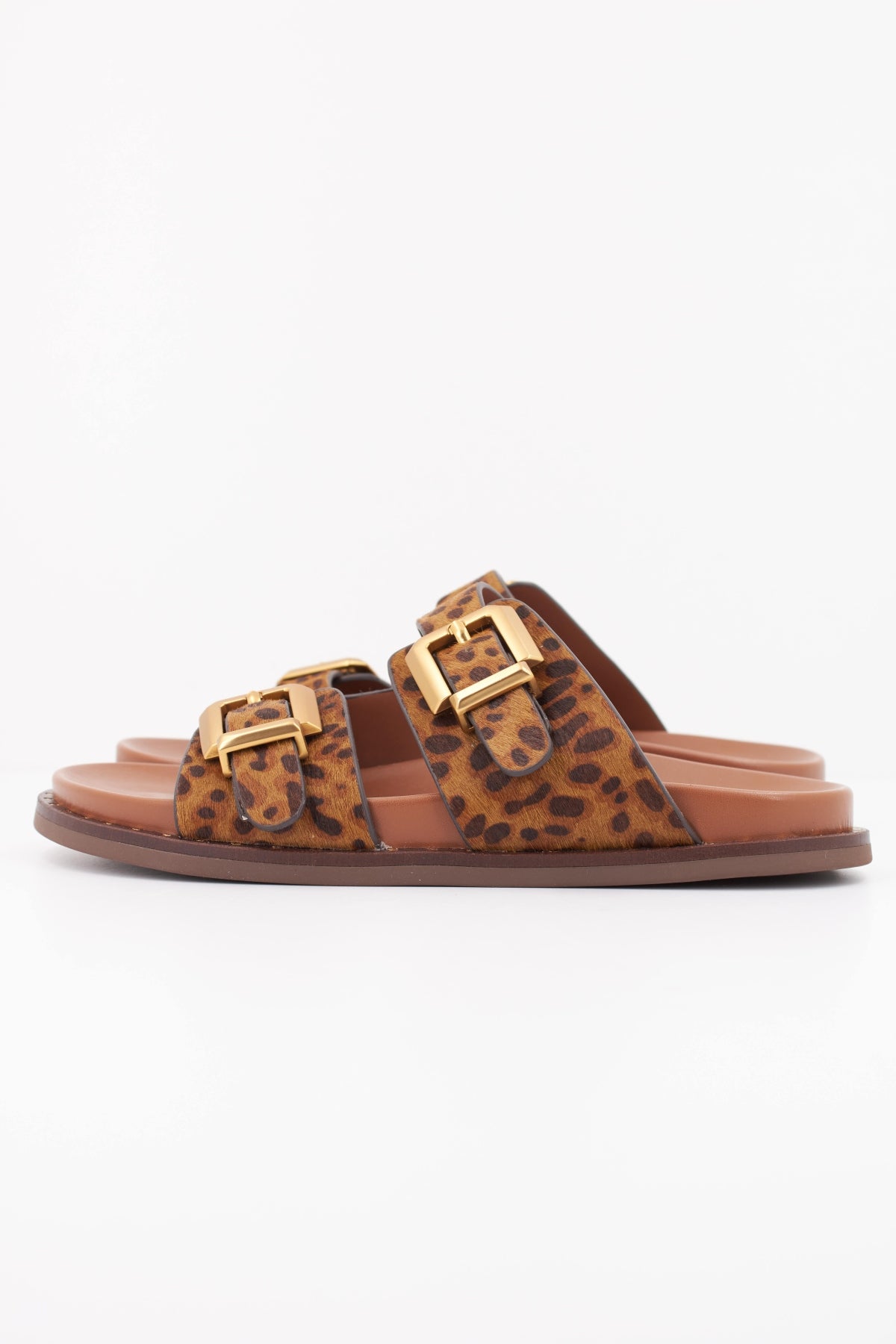 ALPE A en color ANIMAL PRINT (1)