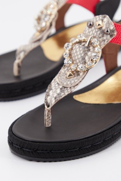 ALPE en color NEGRO (2)