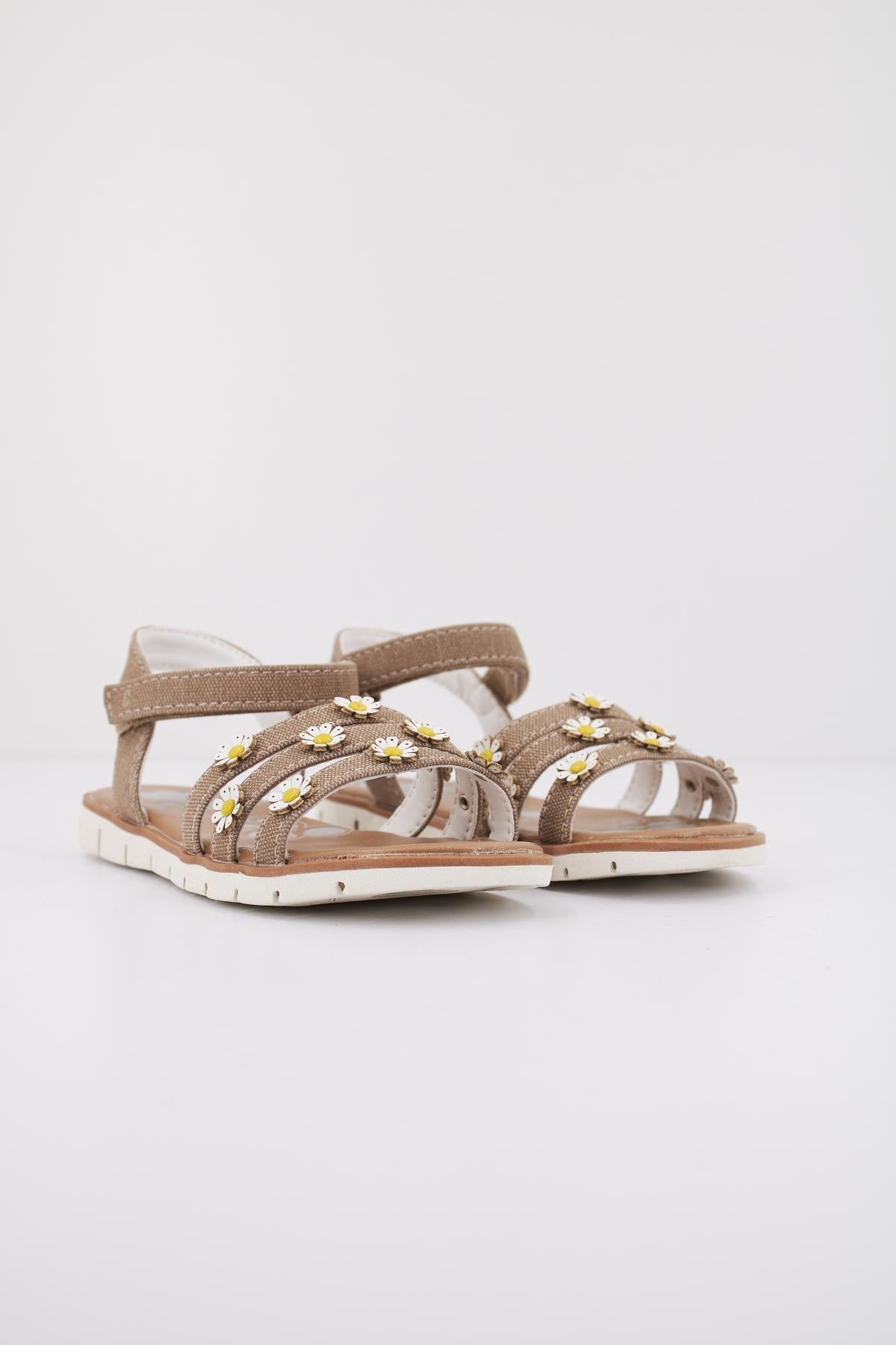 CHICCO CASEY en color MARRON (2)
