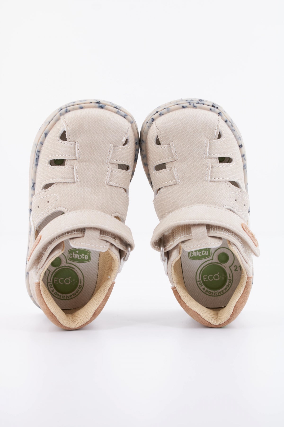 CHICCO GAVIO en color MARRON (3)