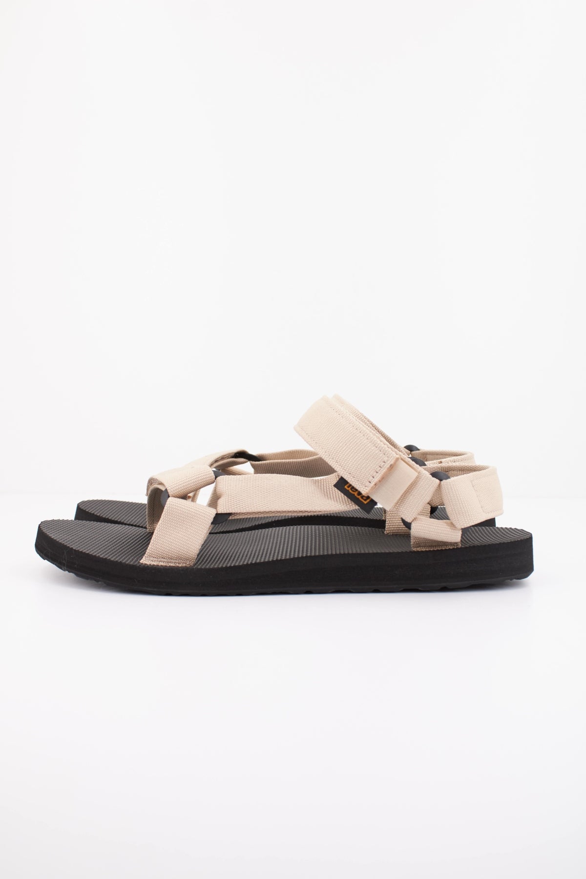 TEVA TV en color BEIS (1)