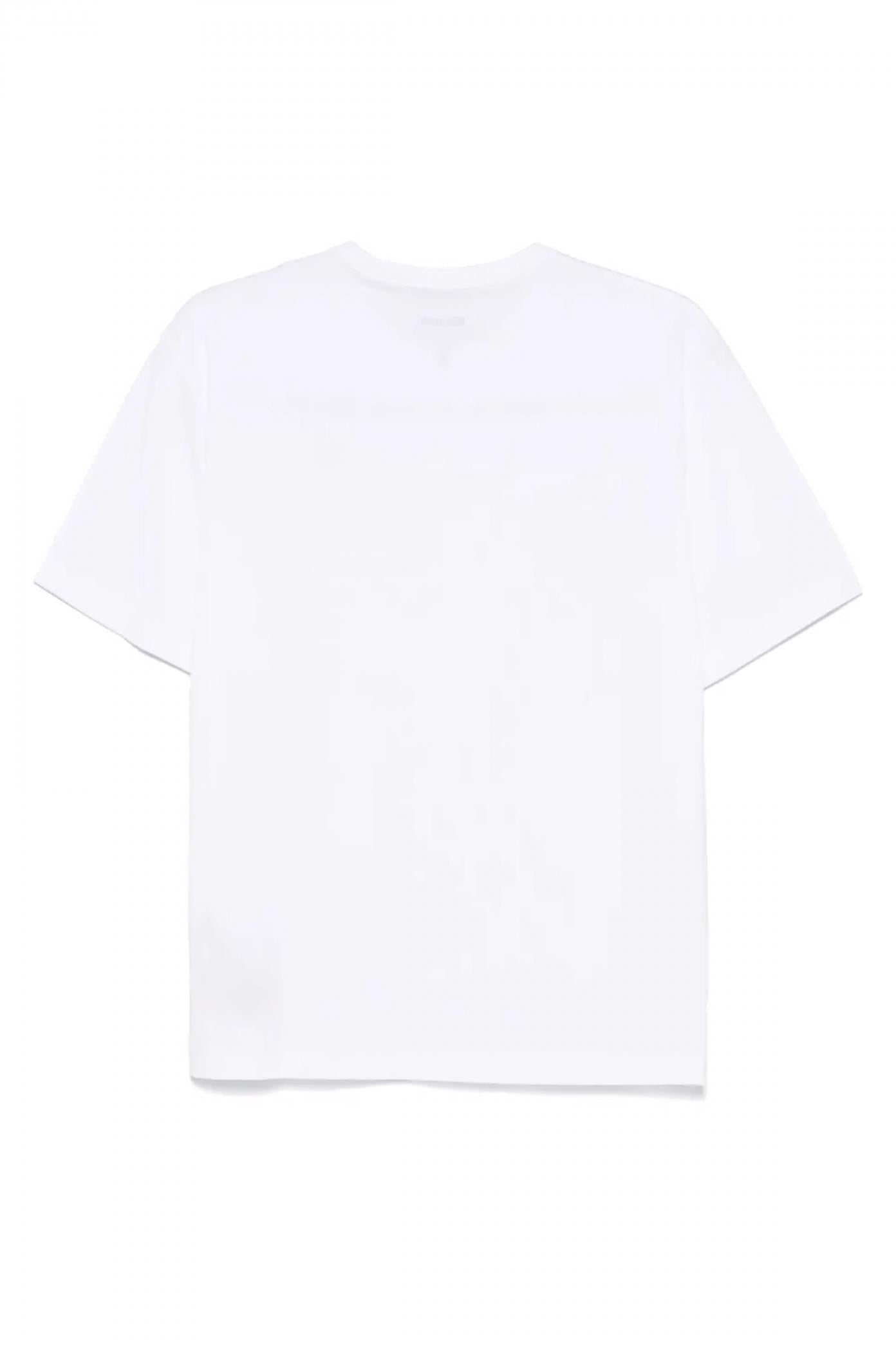 BLAUER FAXON en color GRIS  (2)