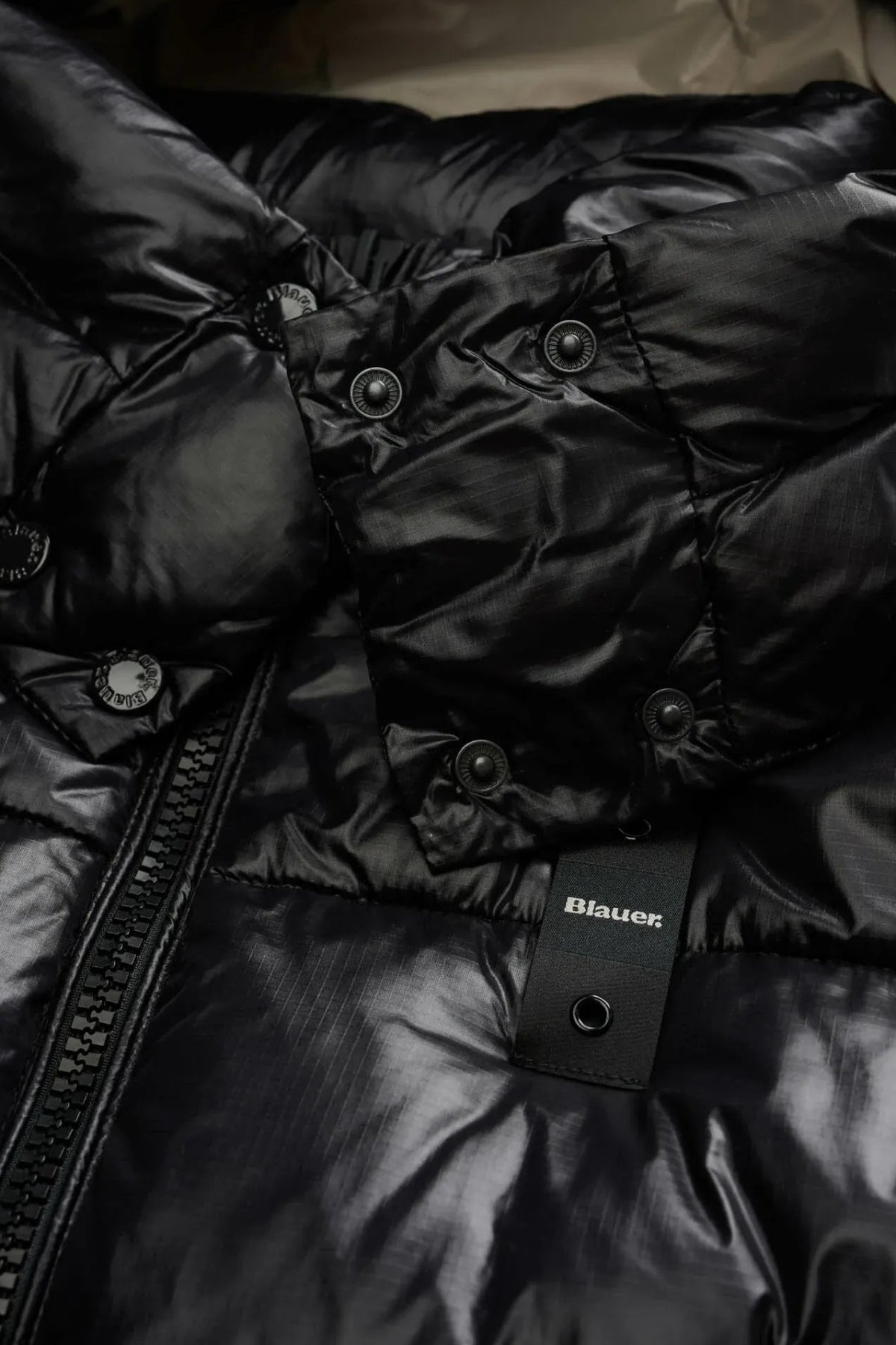BLAUER GLORIA en color NEGRO (3)