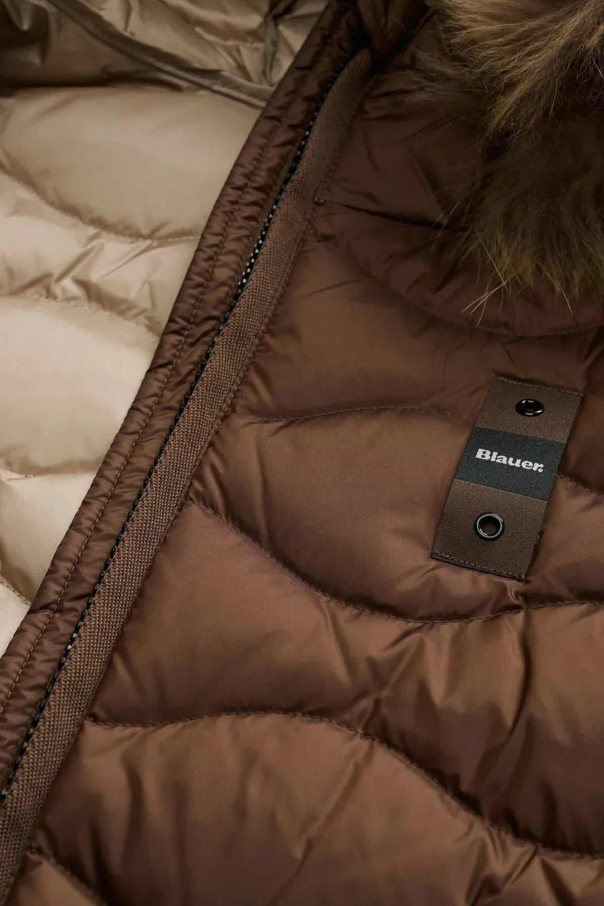 BLAUER ALDIE en color MARRON (4)
