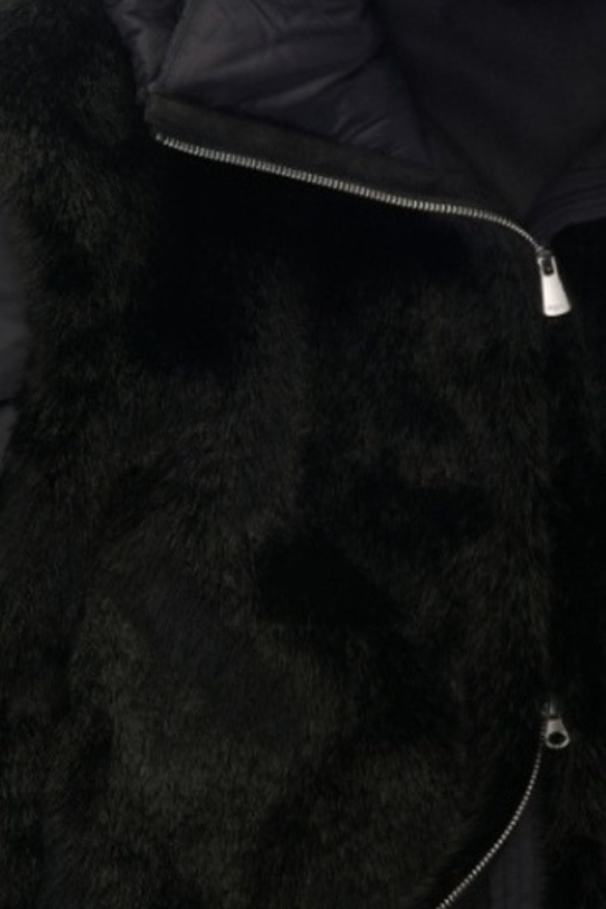 BLAUER JUNIPER en color NEGRO (3)