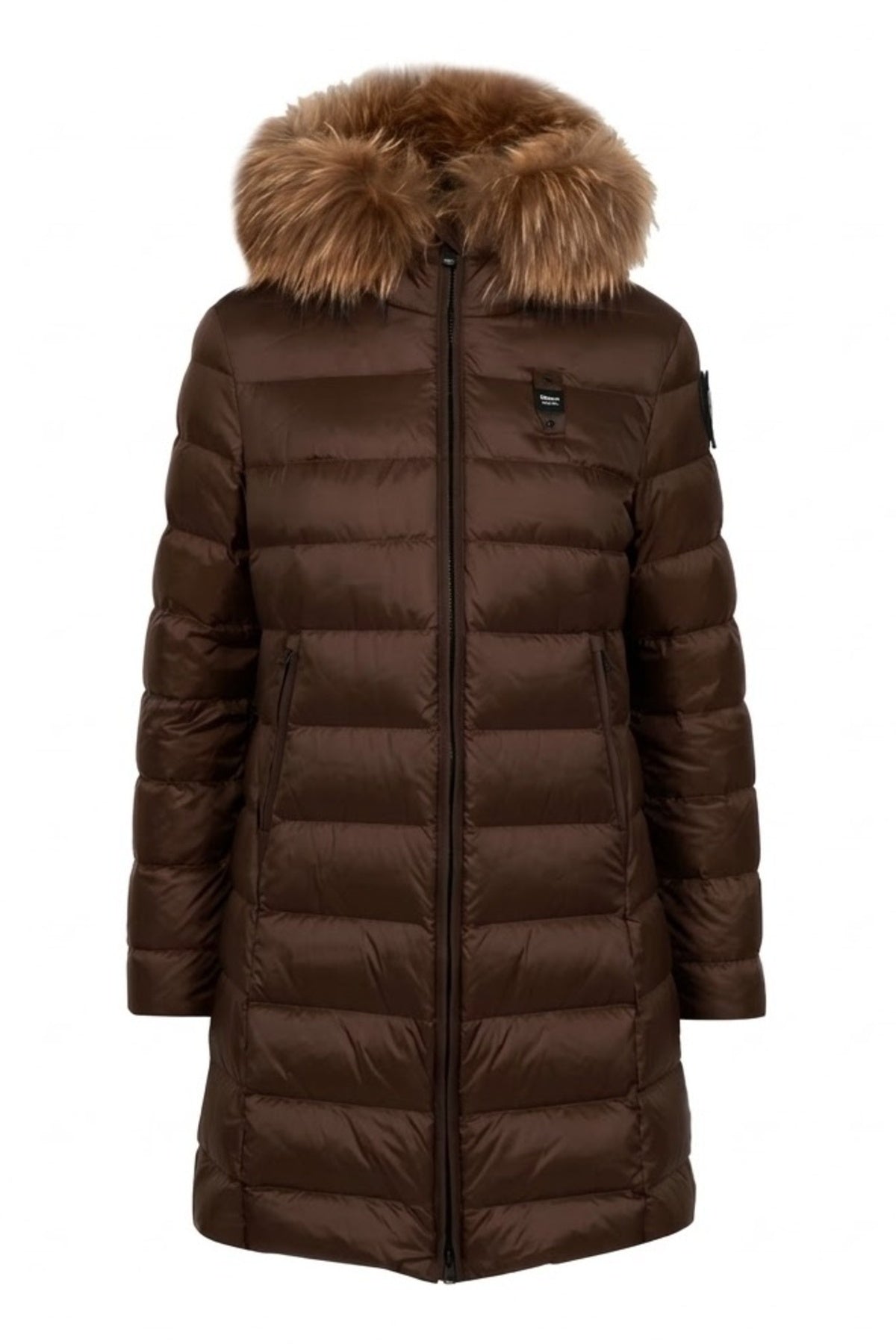 BLAUER ALTHEA en color (1)