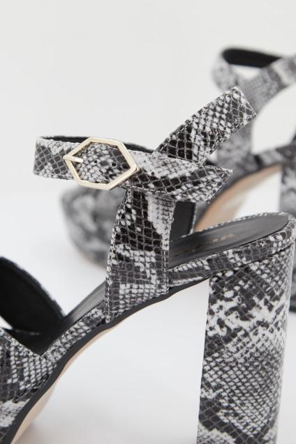 ÁNGEL ALARCÓN en color ANIMAL PRINT (2)