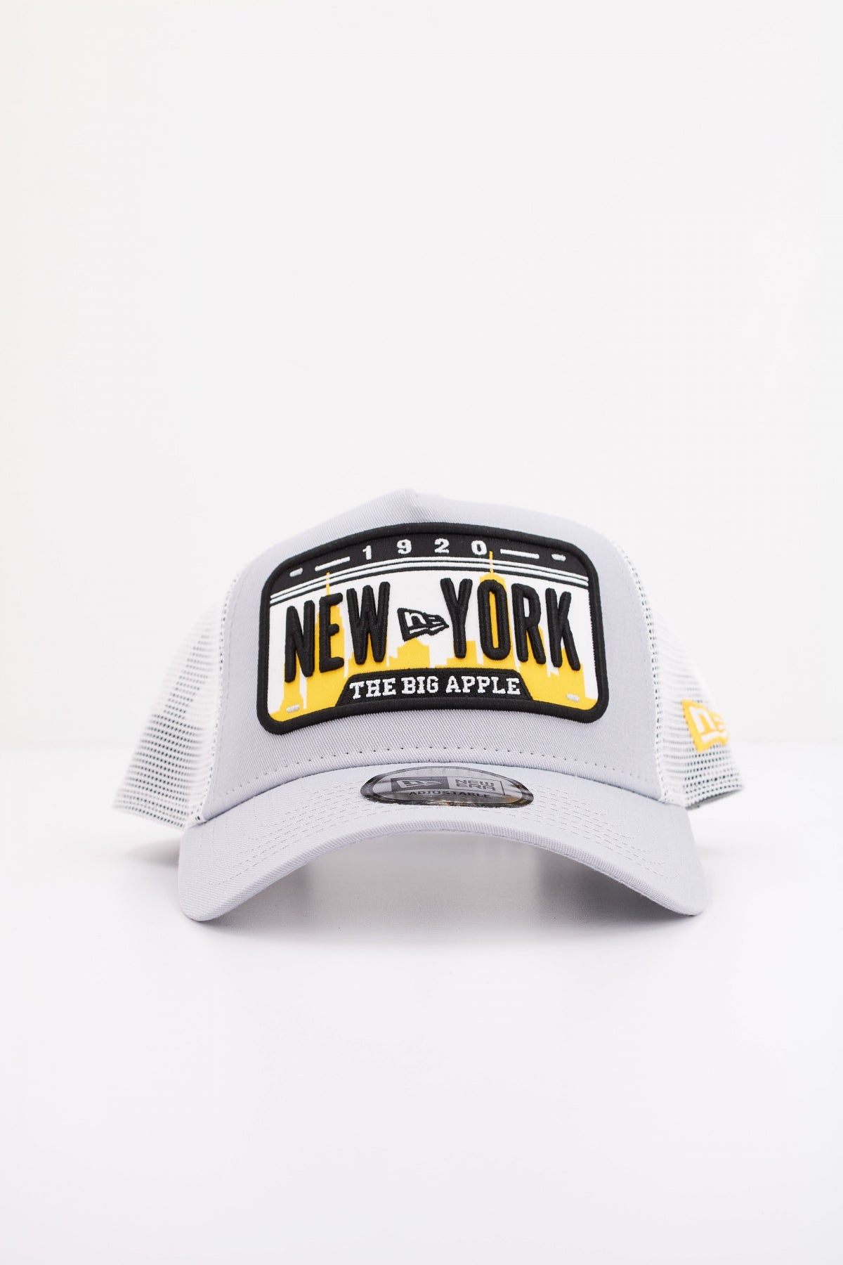 NEW ERA NEW ERA DGR en color GRIS (1)