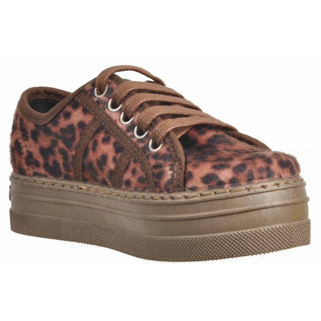 VICTORIA en color ANIMAL PRINT (3)
