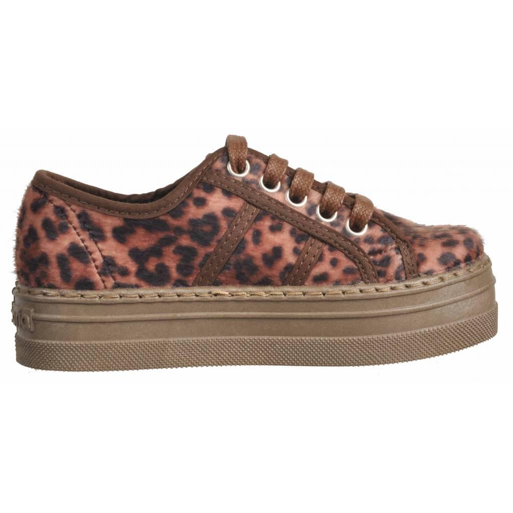 VICTORIA en color ANIMAL PRINT (4)