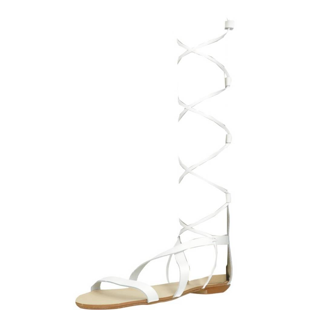 DIEZDEDOS en color BLANCO (1)