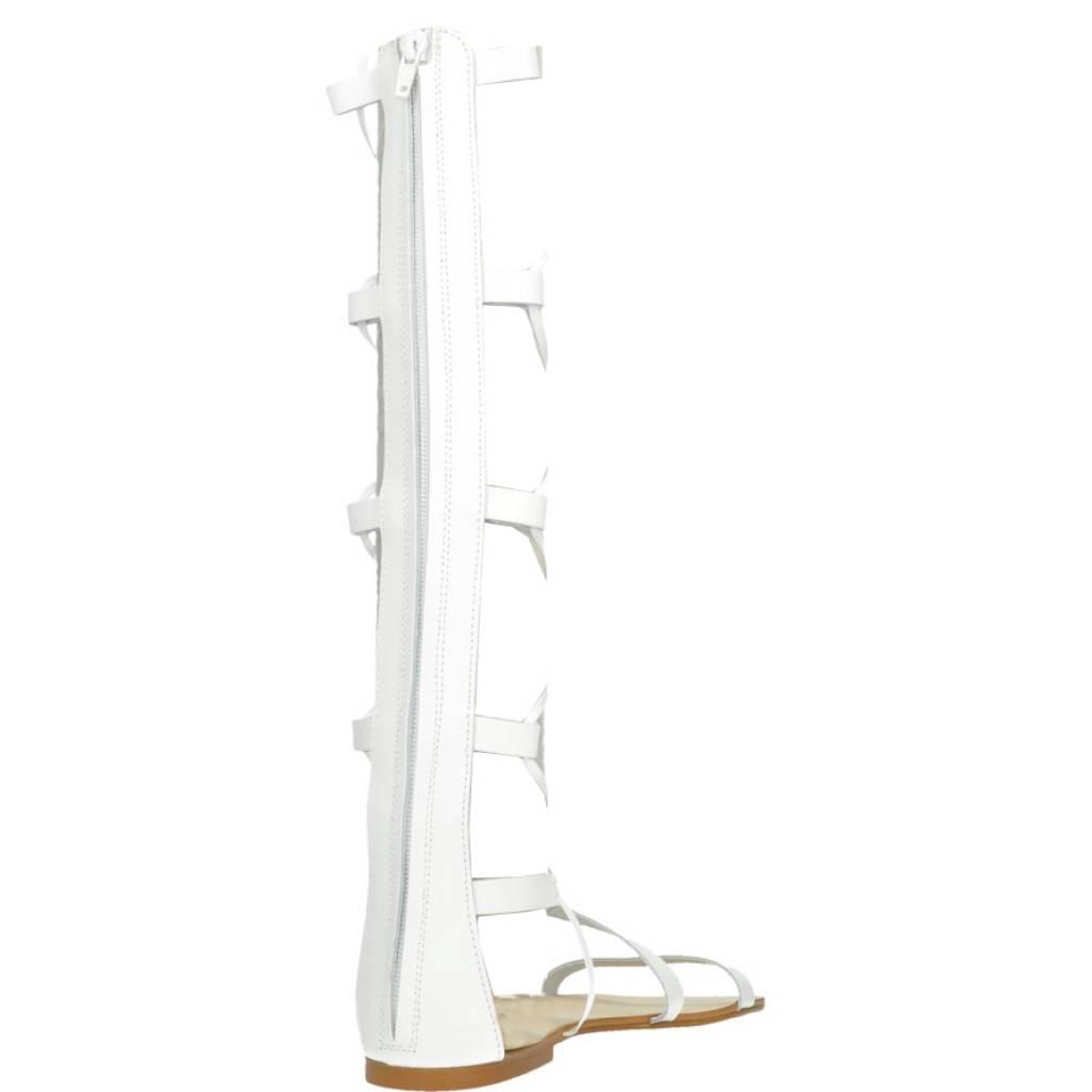 DIEZDEDOS en color BLANCO (3)