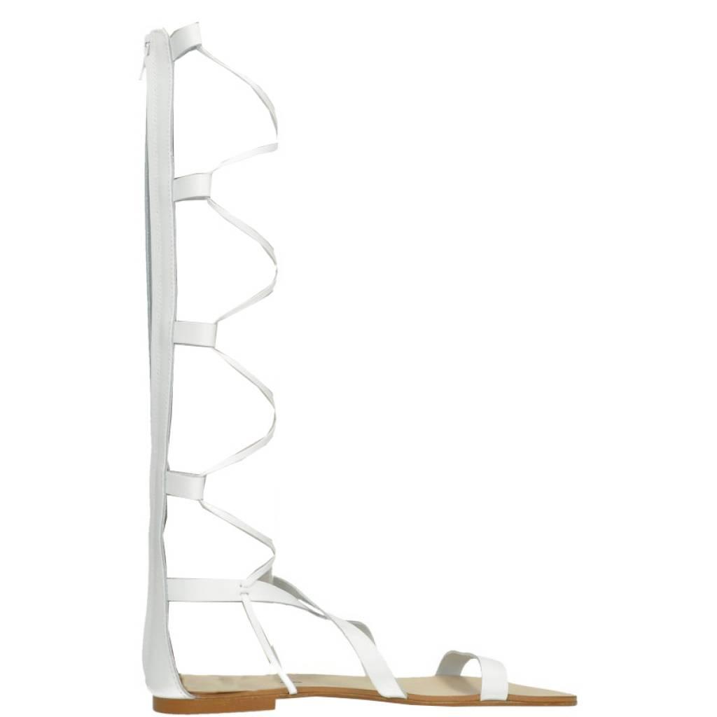 DIEZDEDOS en color BLANCO (4)