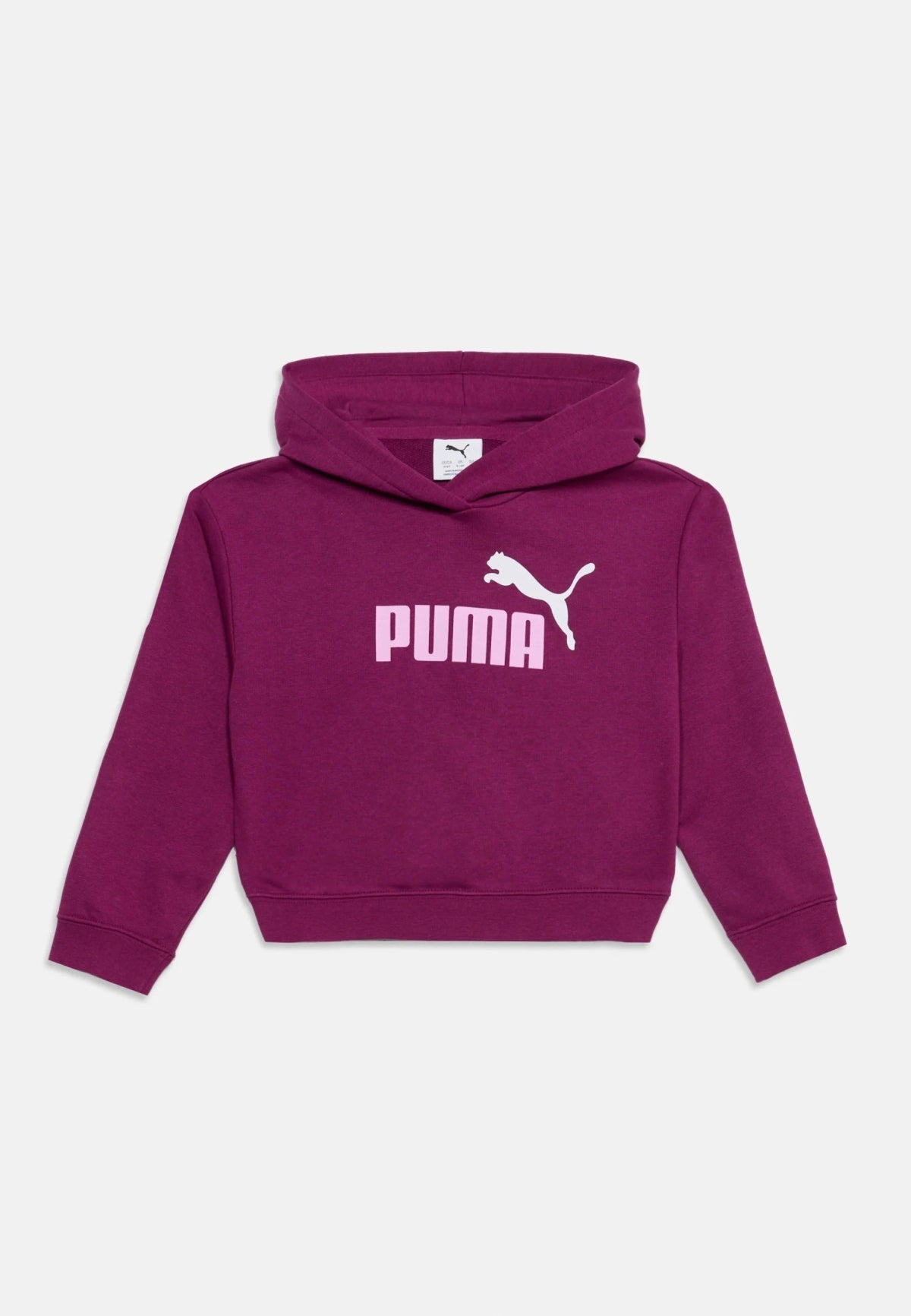 PUMA LOGO SHORT LENGTH HOODIE TR G en color (2)