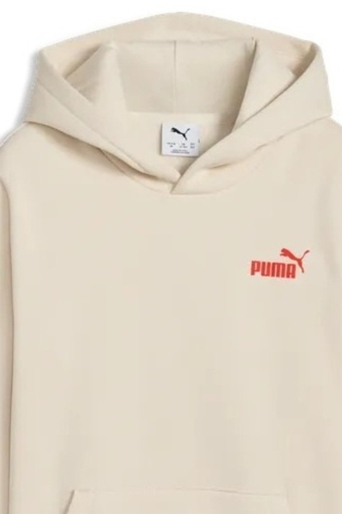 PUMA BRAND BACK GRAPHIC HOODIE FL B en color (3)