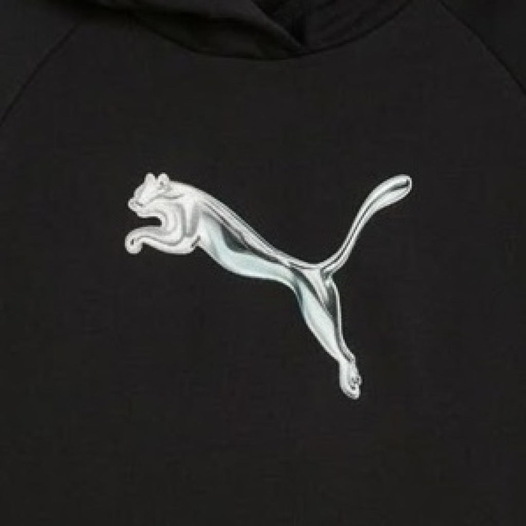 PUMA STANDARD HOODIE en color (7)