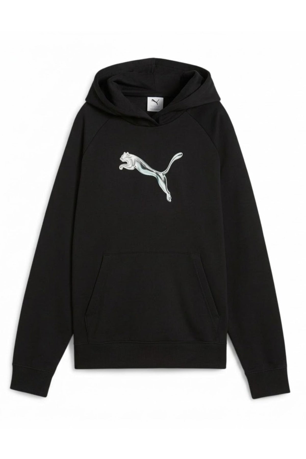 PUMA STANDARD HOODIE en color (1)